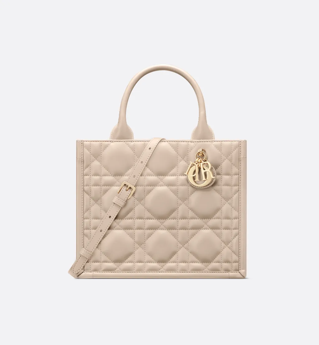 Small Dior Book Tote