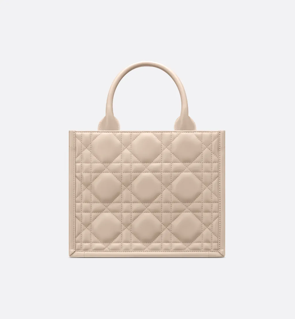 Small Dior Book Tote