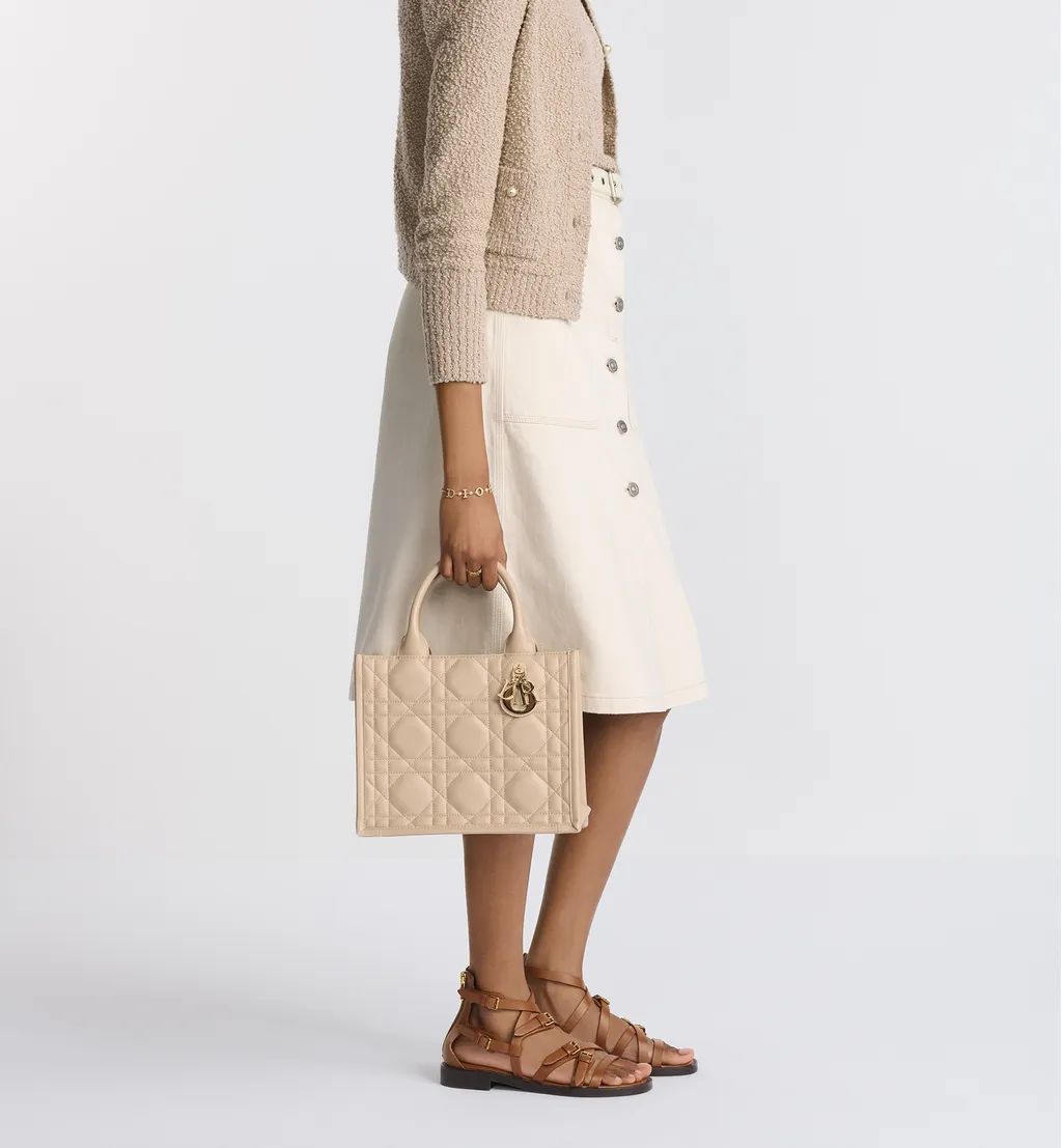 Small Dior Book Tote