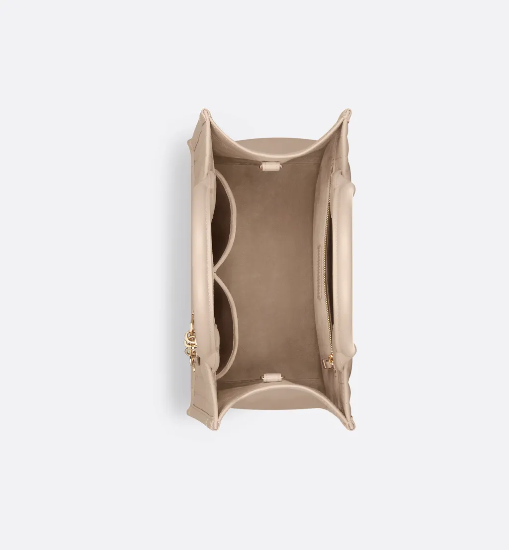 Small Dior Book Tote