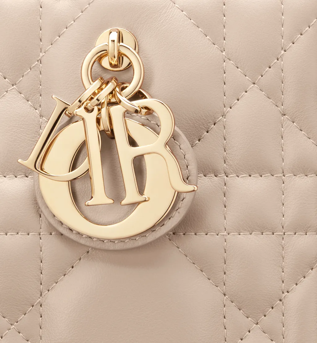 Small Dior Book Tote
