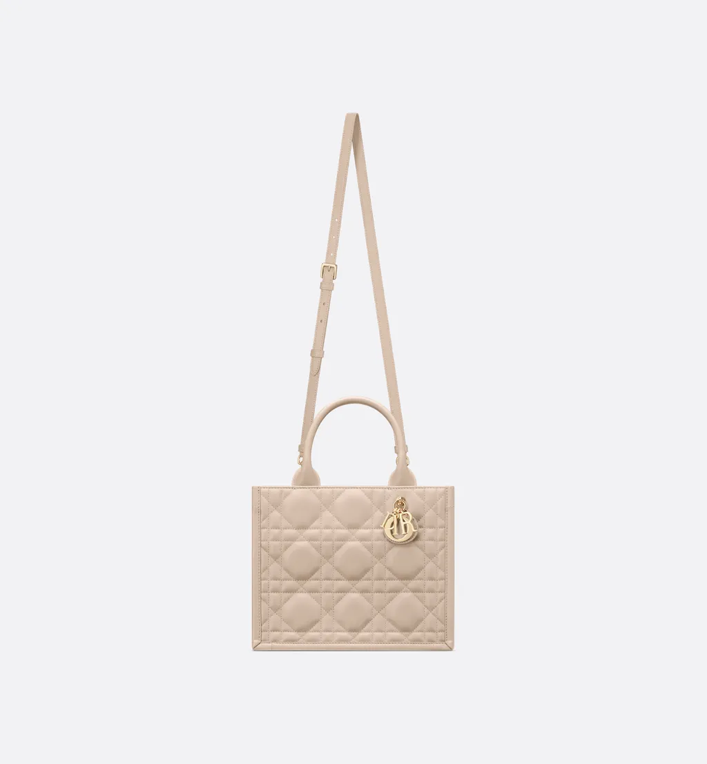 Small Dior Book Tote