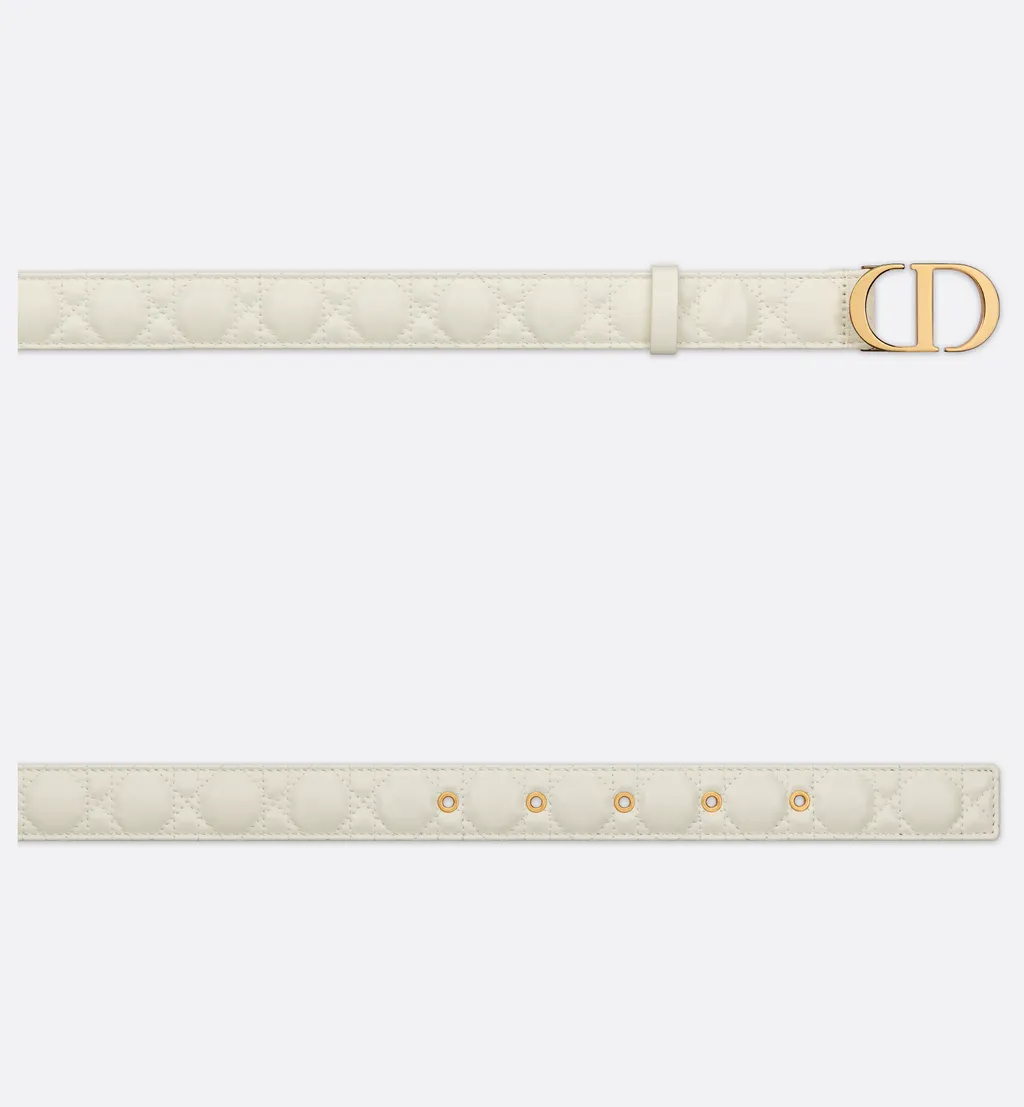 30 Montaigne Belt