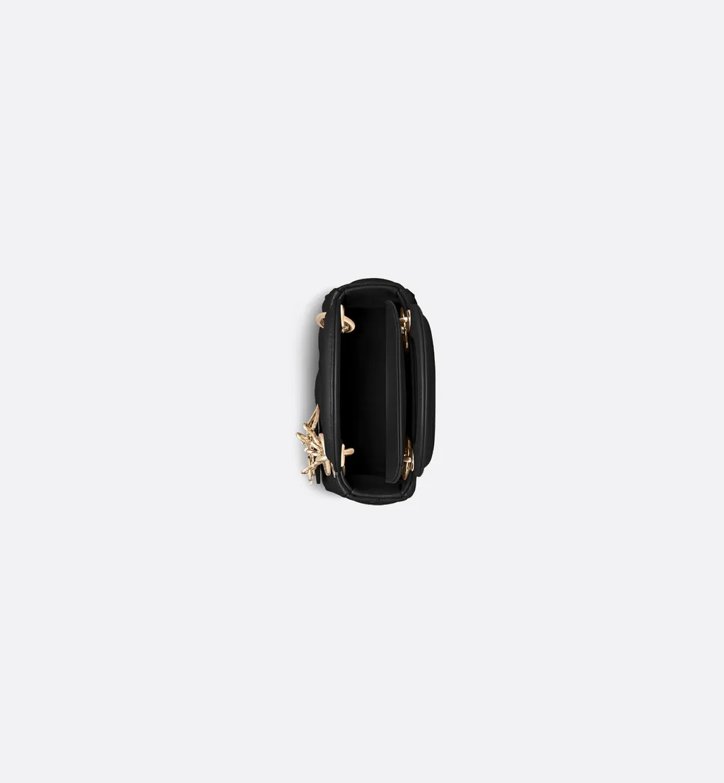 Lady Dior Micro Bag