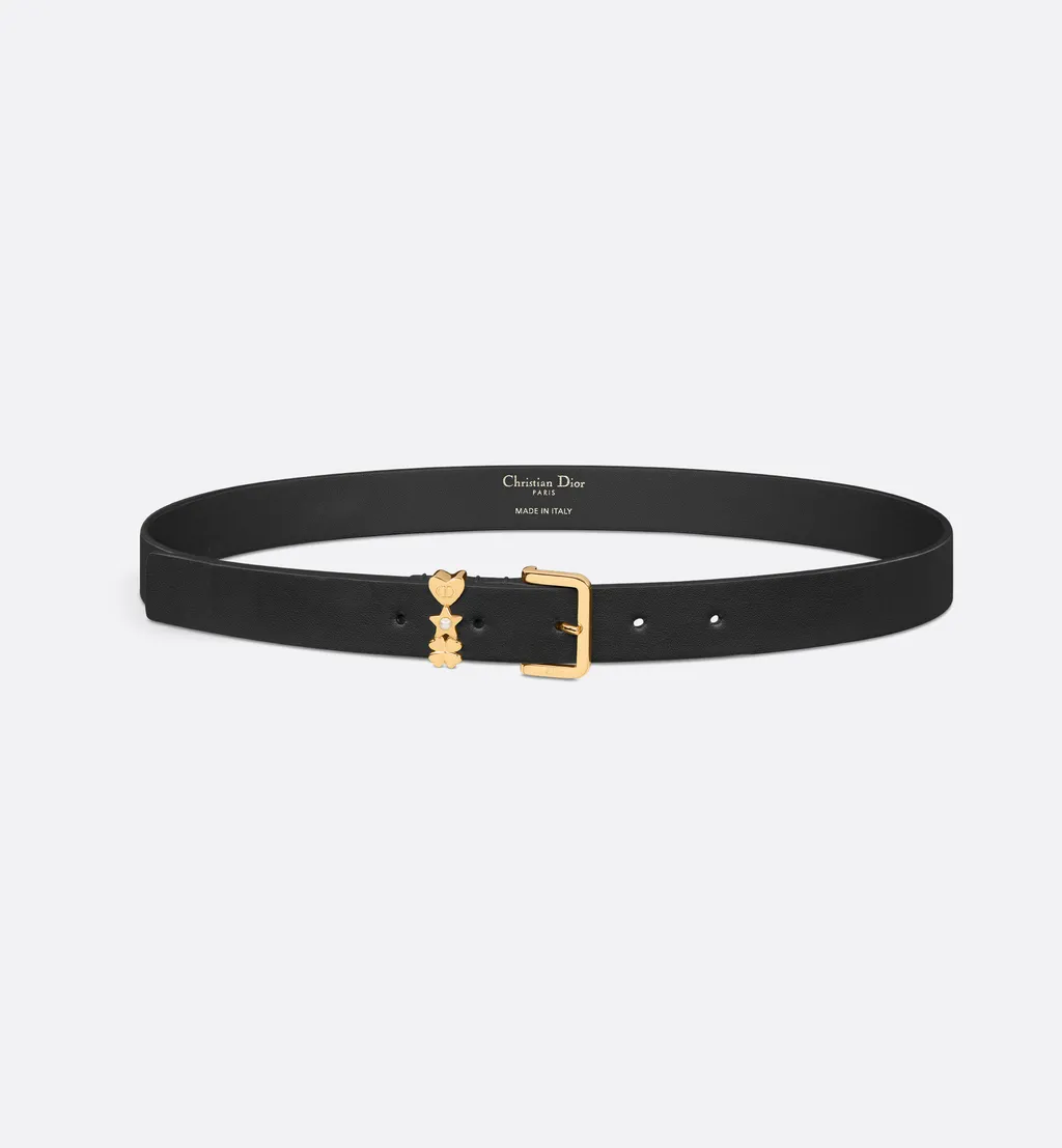 Lucky Dior Loop Belt