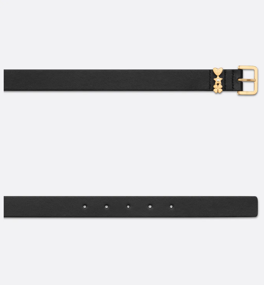 Lucky Dior Loop Belt
