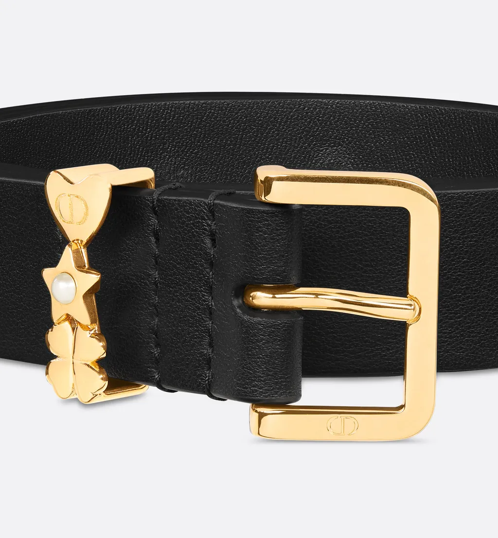 Lucky Dior Loop Belt