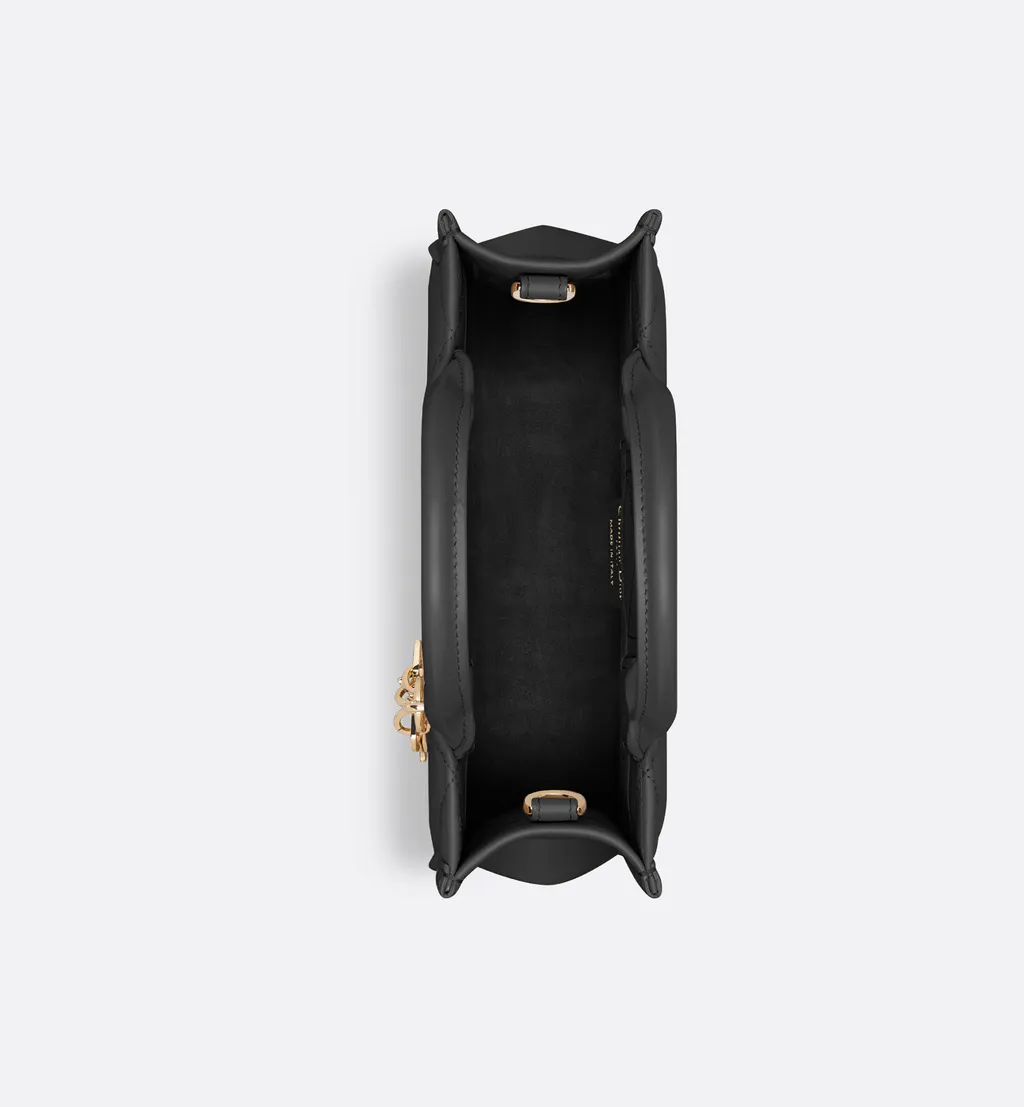 Mini Dior Book Tote