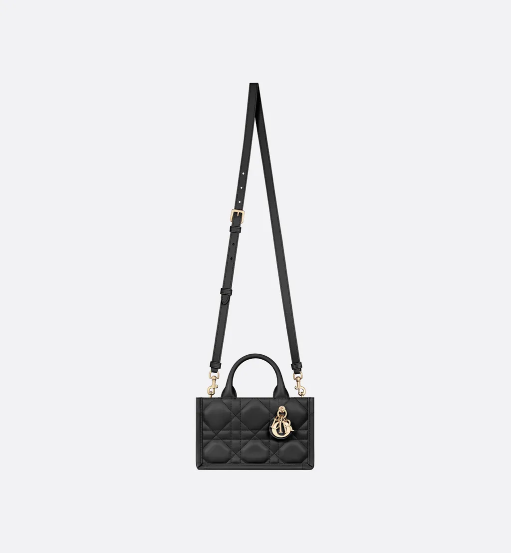 Mini Dior Book Tote
