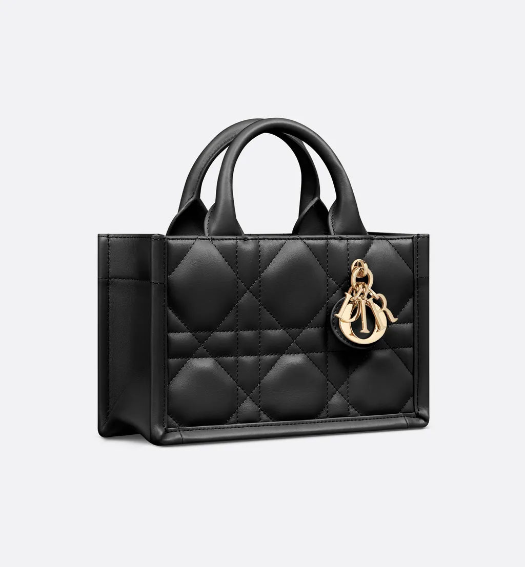 Mini Dior Book Tote