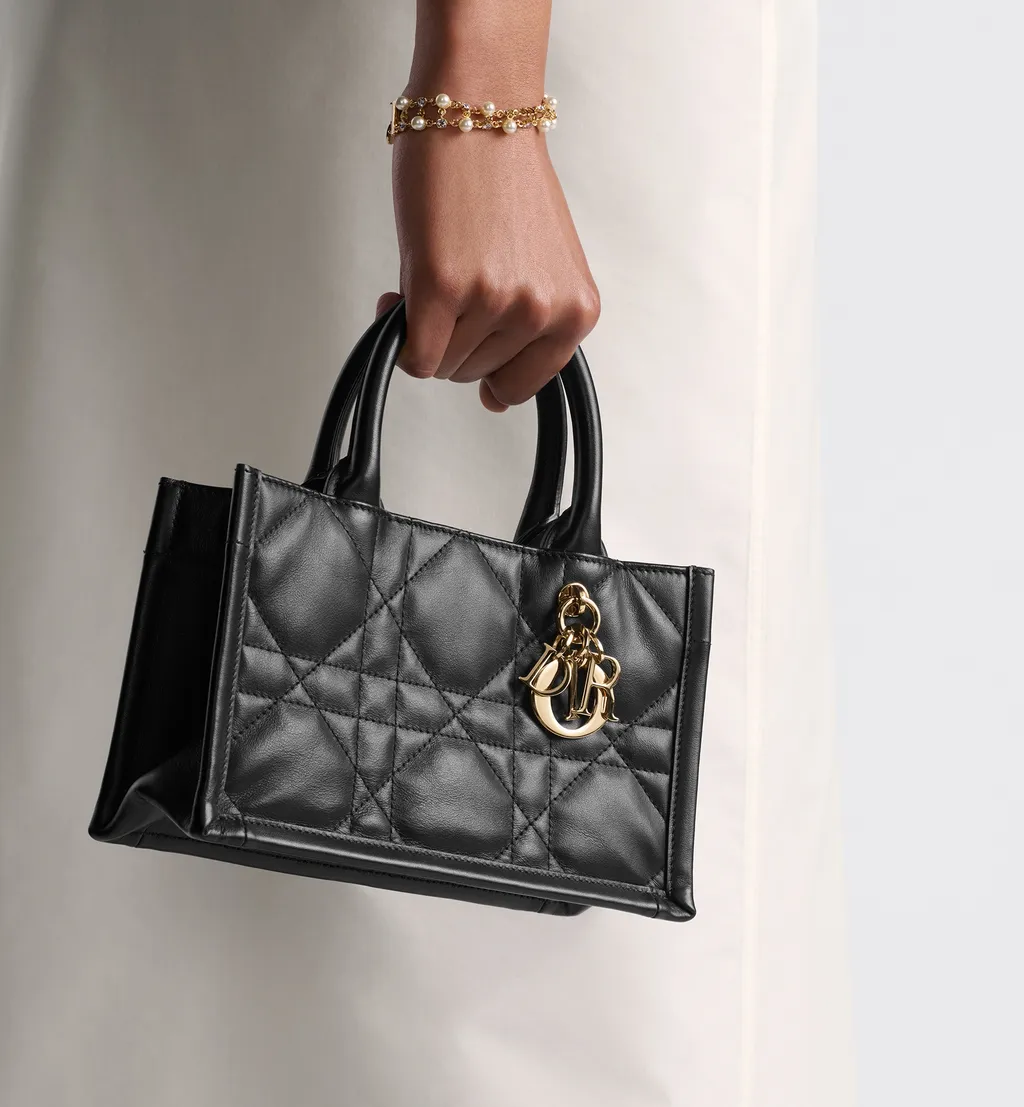 Mini Dior Book Tote