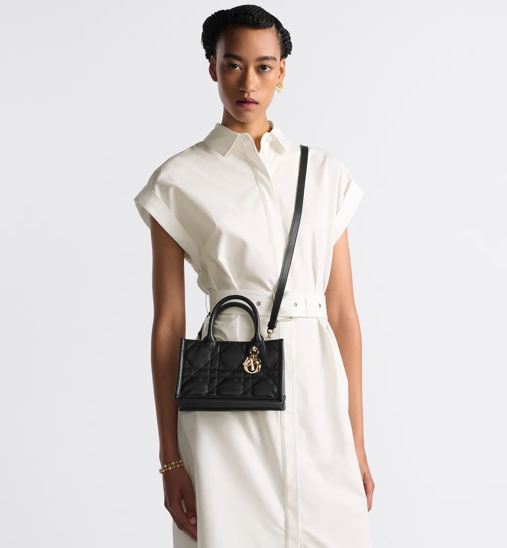 Mini Dior Book Tote