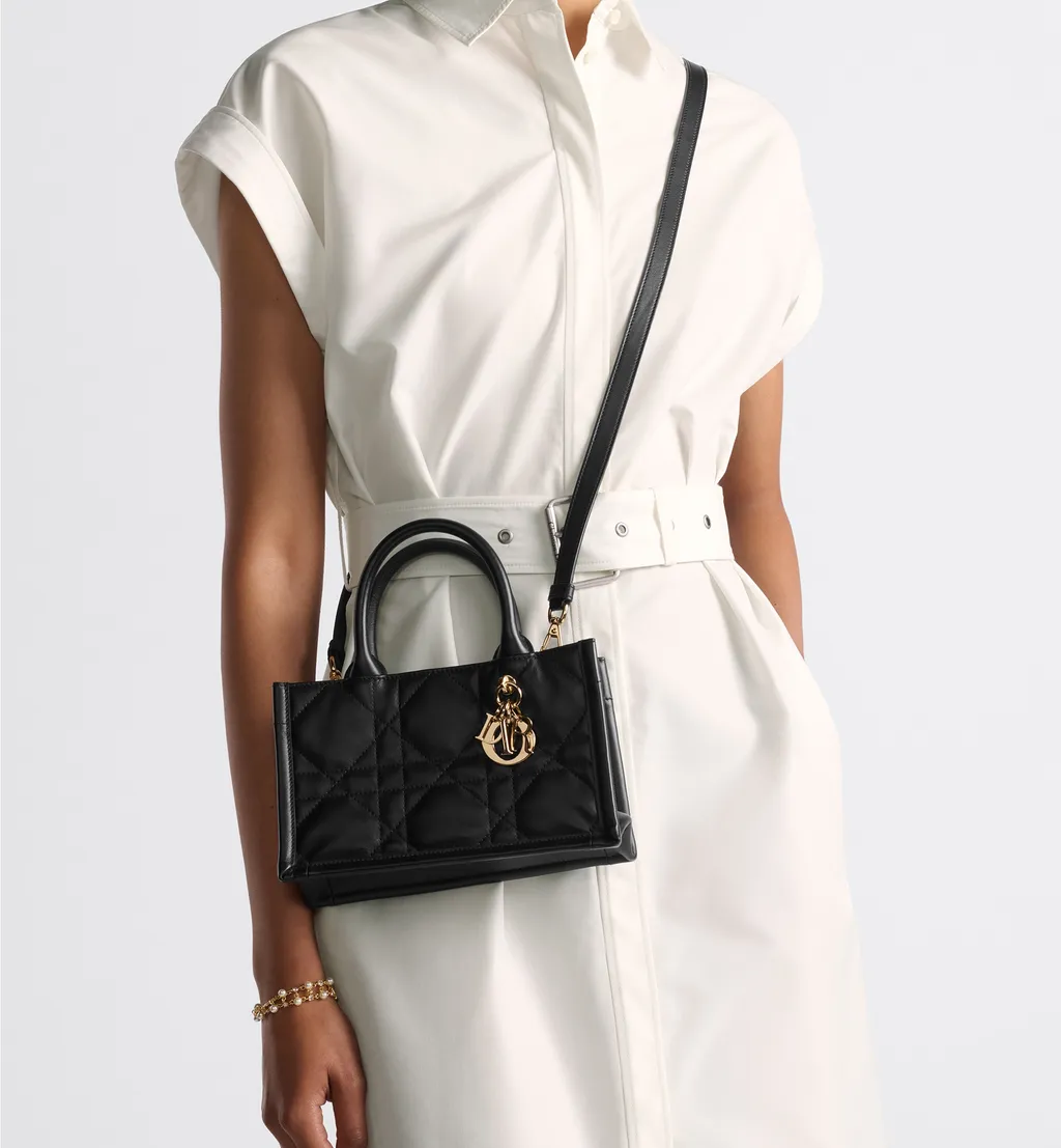 Mini Dior Book Tote