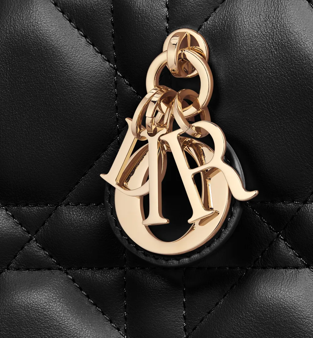 Mini Dior Book Tote