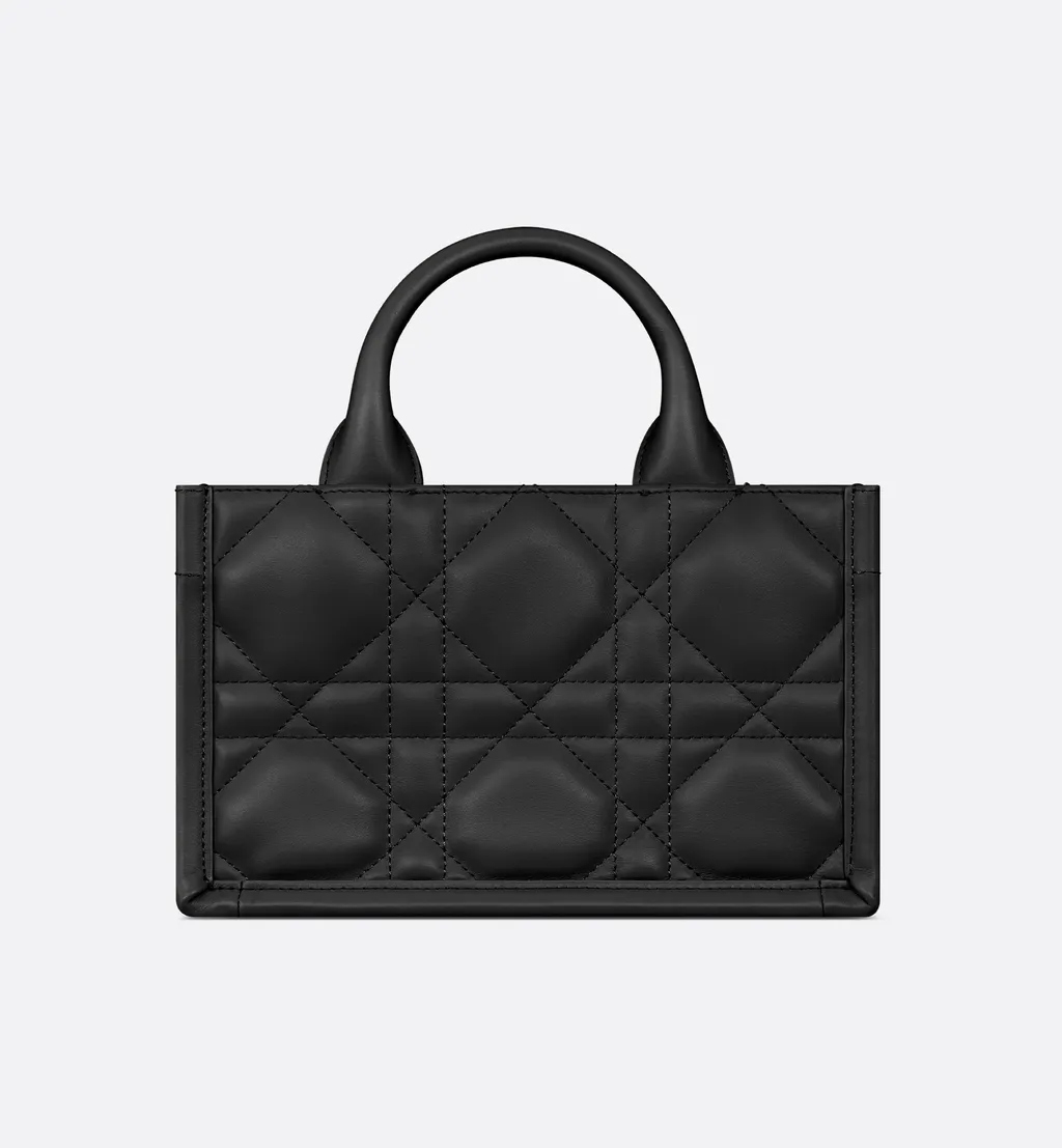 Mini Dior Book Tote
