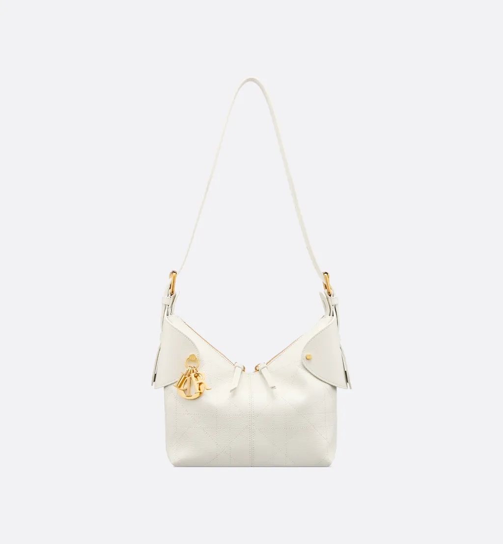 Small Dior Voyage Bag
