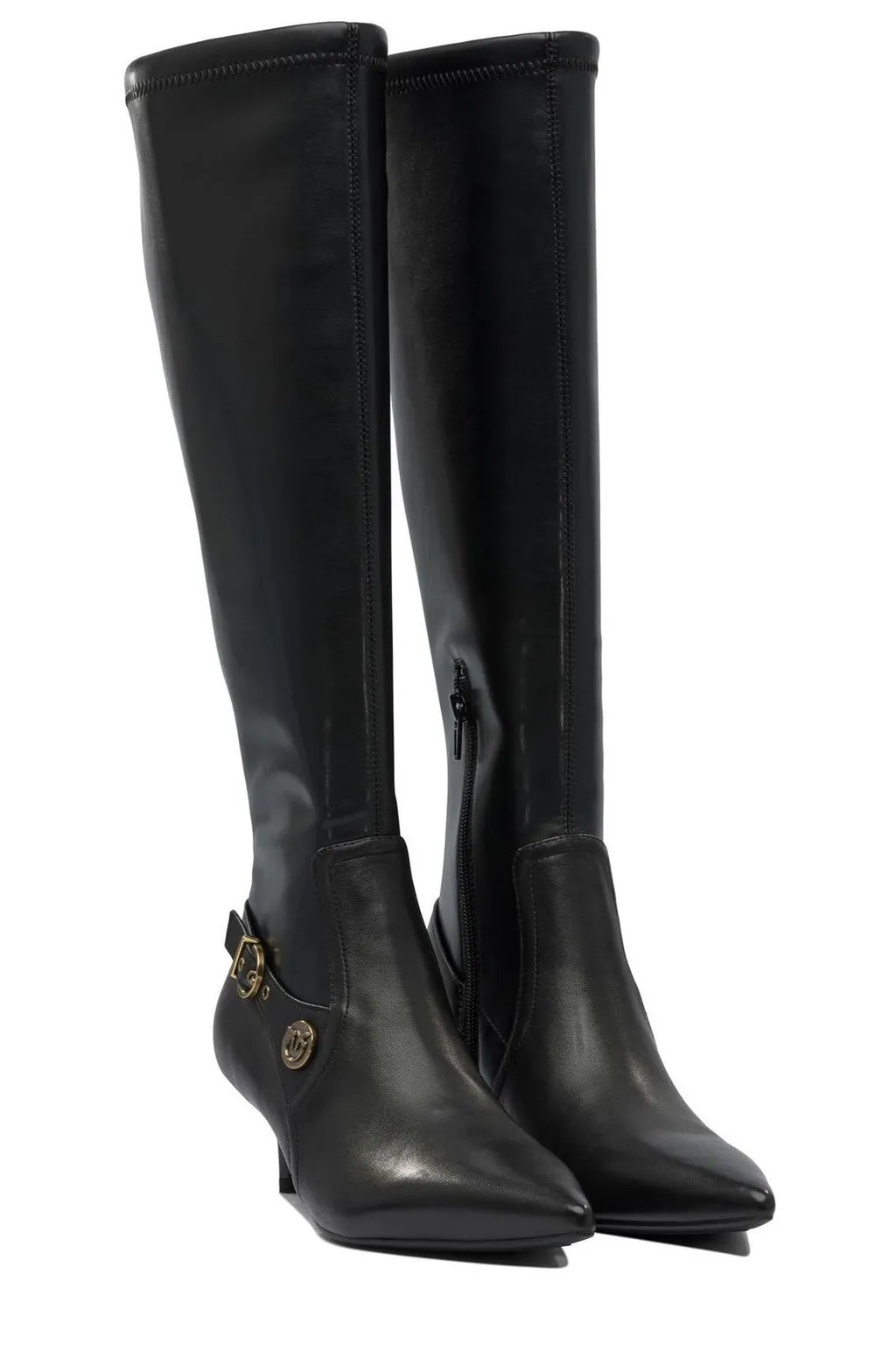 Pinko Pointed Toe Boots