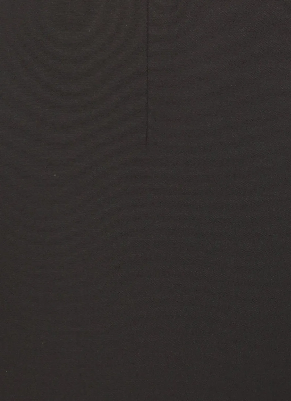 Peserico Side-Vent Trousers