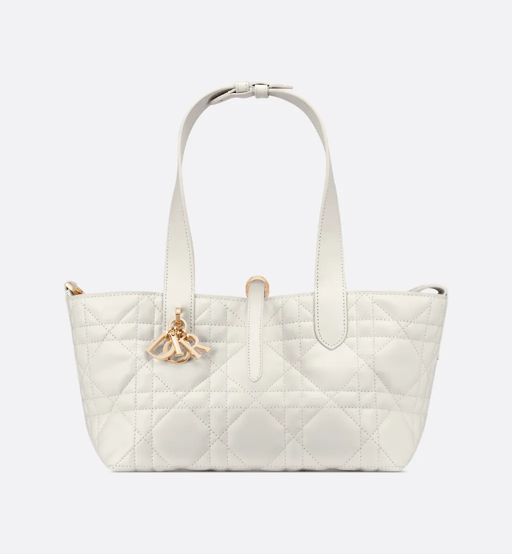 Small Dior Toujours Bag