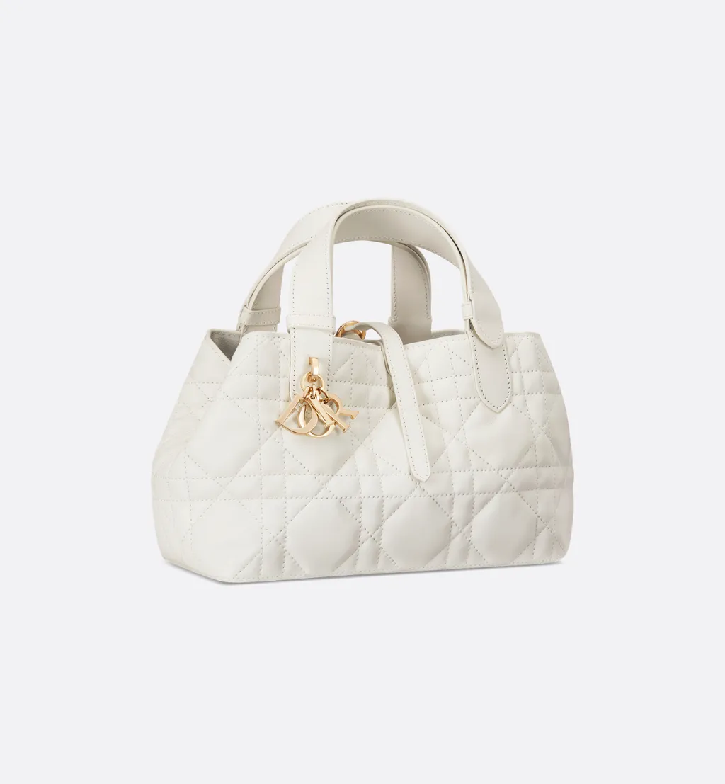 Small Dior Toujours Bag