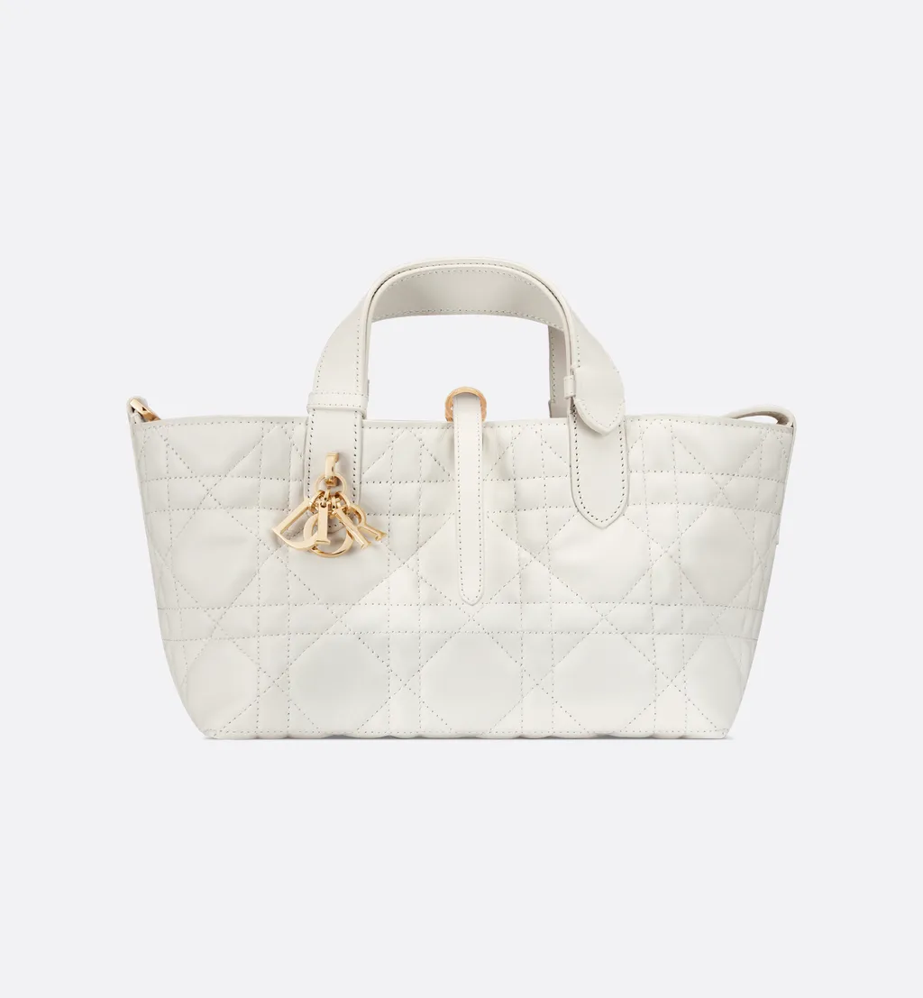 Small Dior Toujours Bag