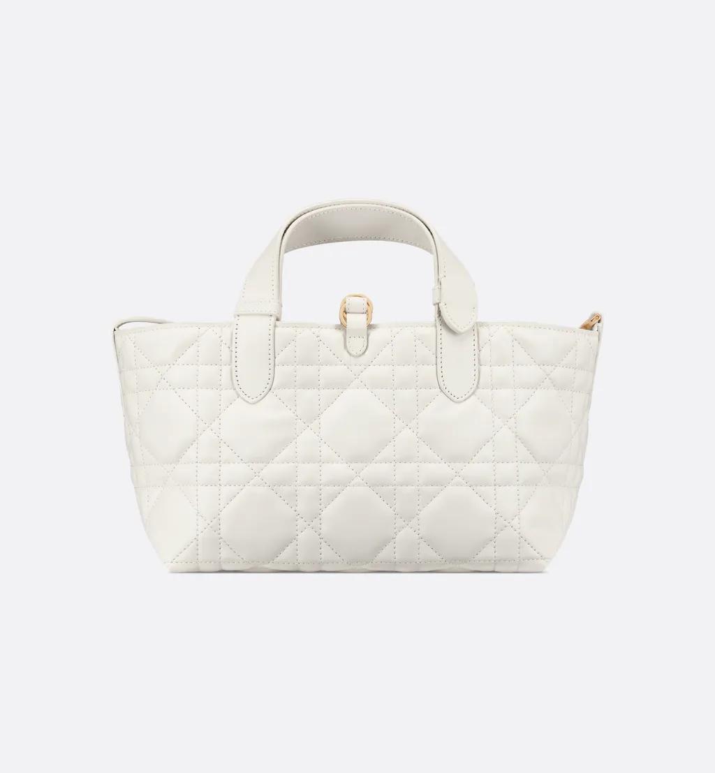 Small Dior Toujours Bag
