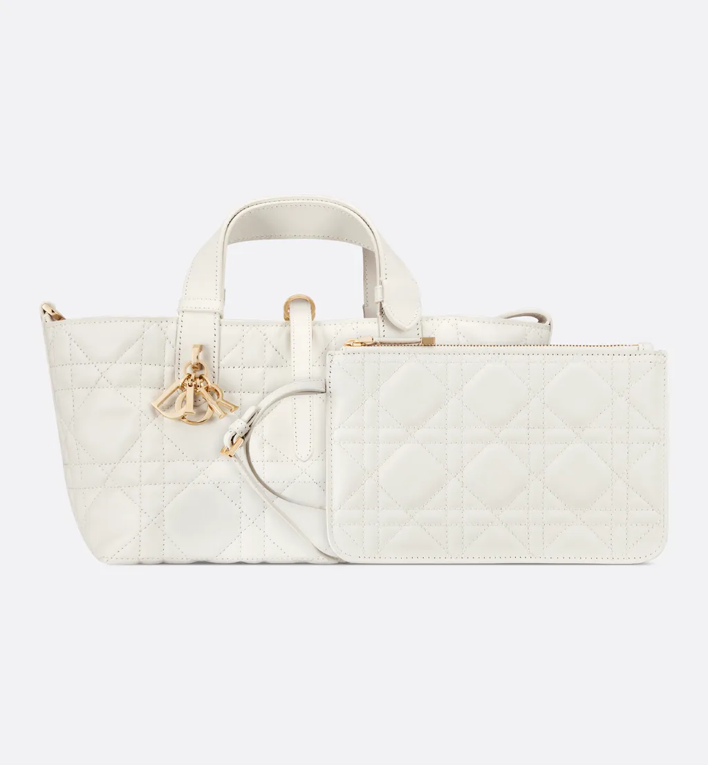 Small Dior Toujours Bag