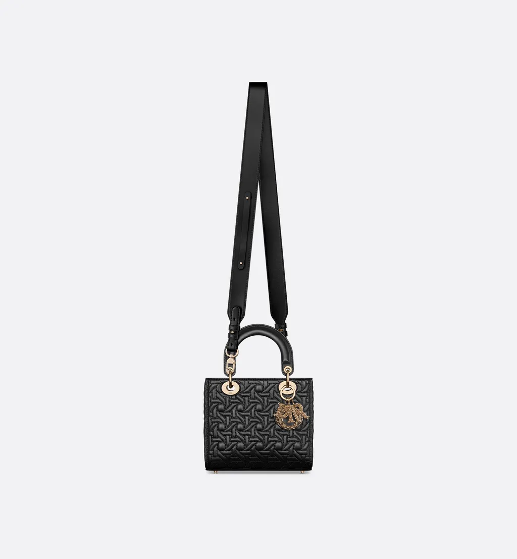 Small Lady Dior My Abcdior Bag