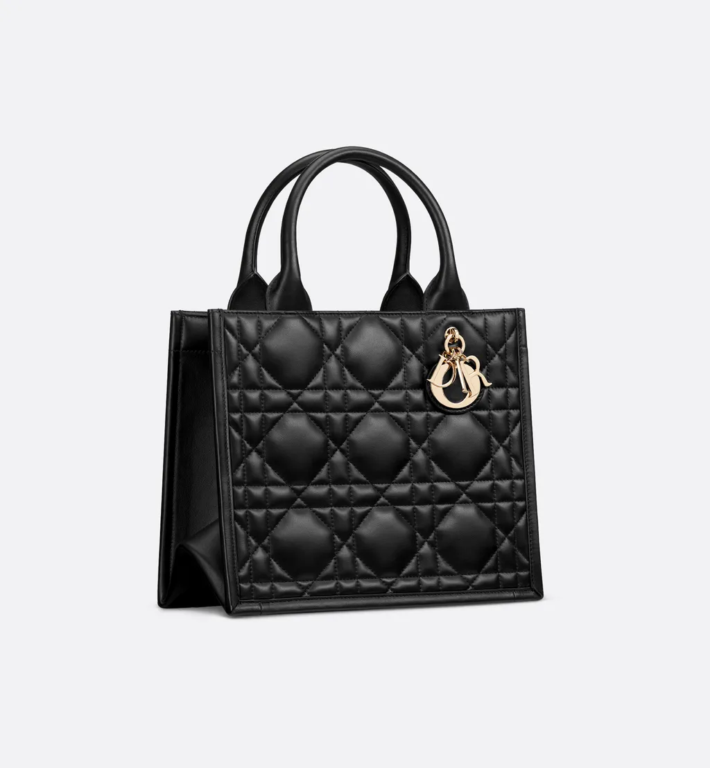 Small Dior Book Tote