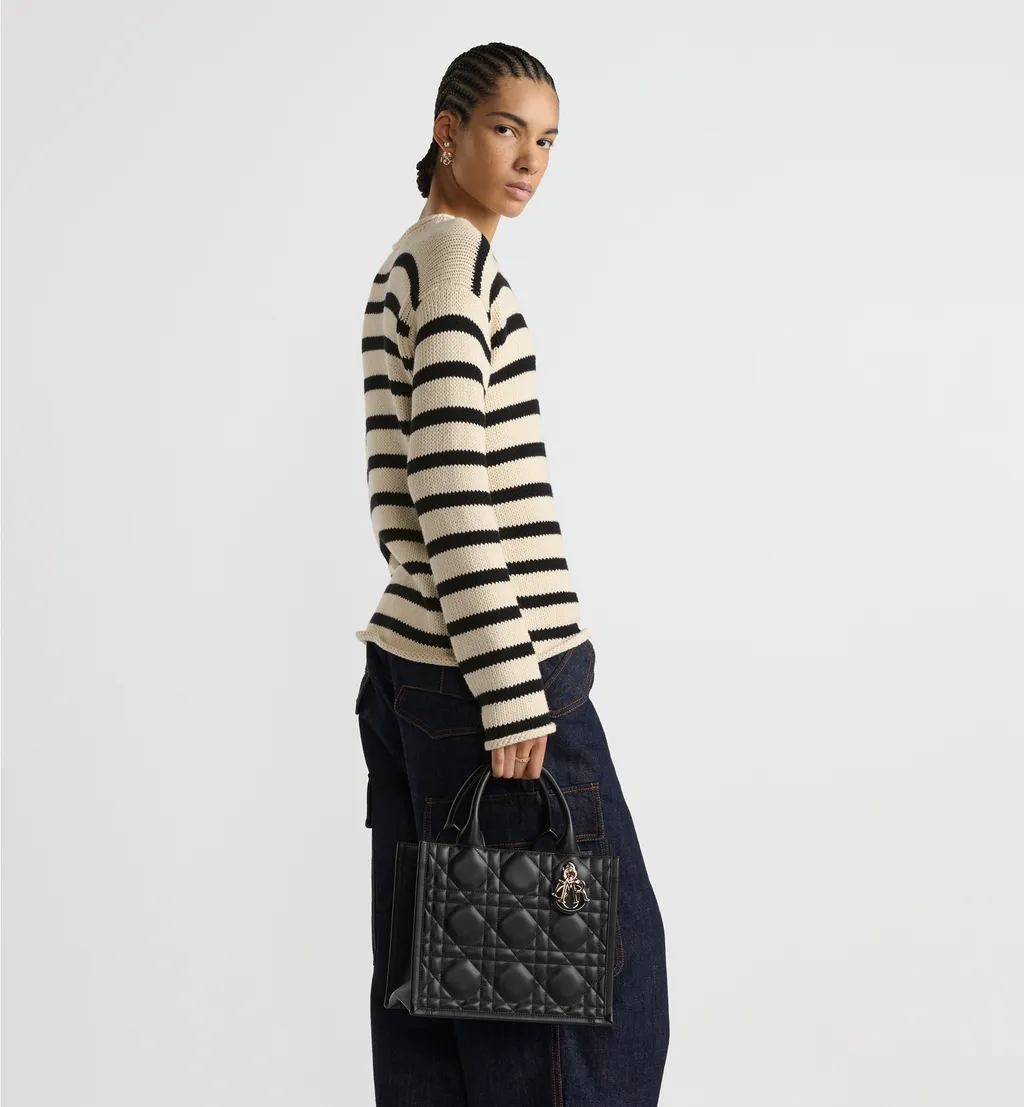Small Dior Book Tote