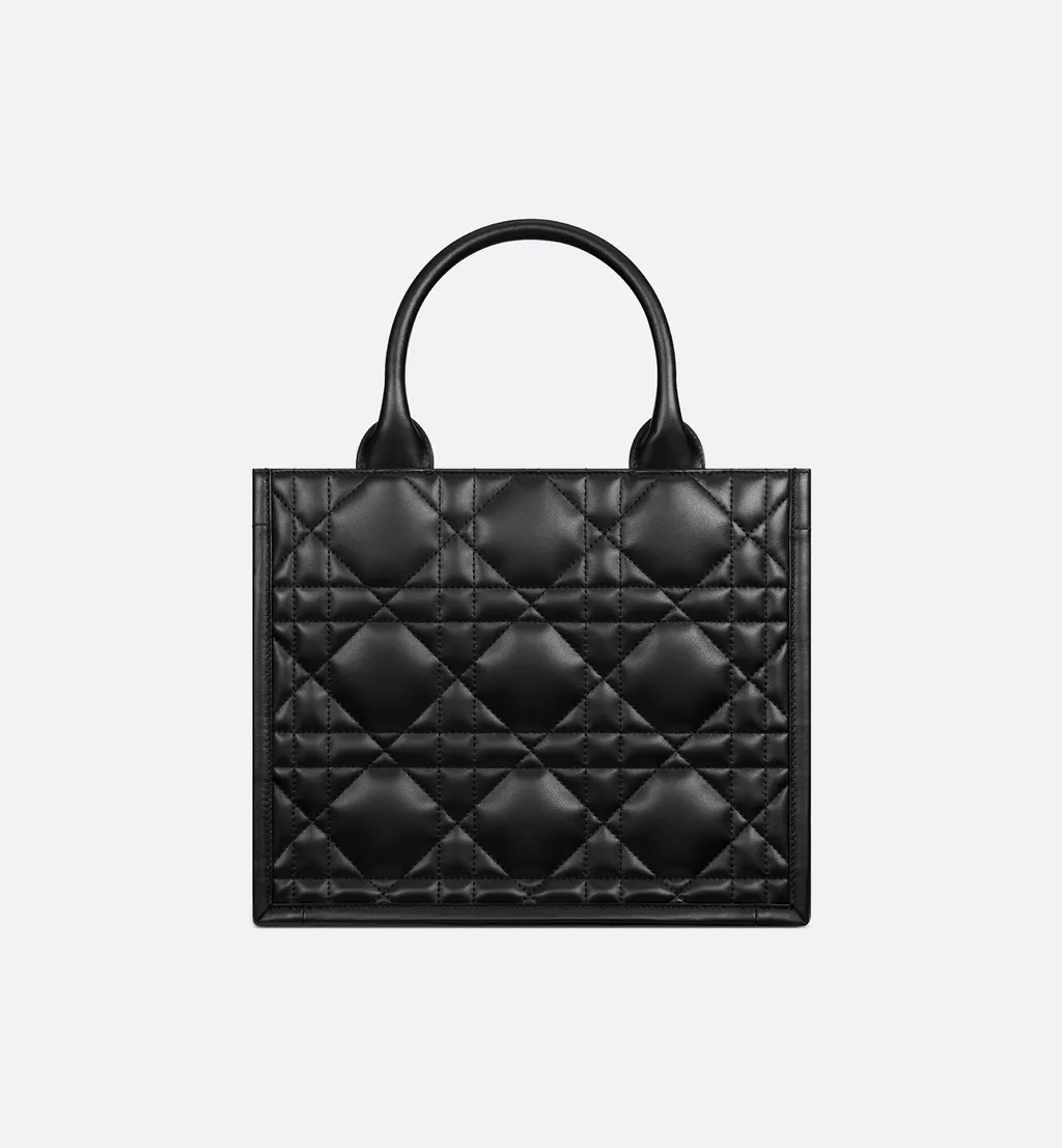 Small Dior Book Tote