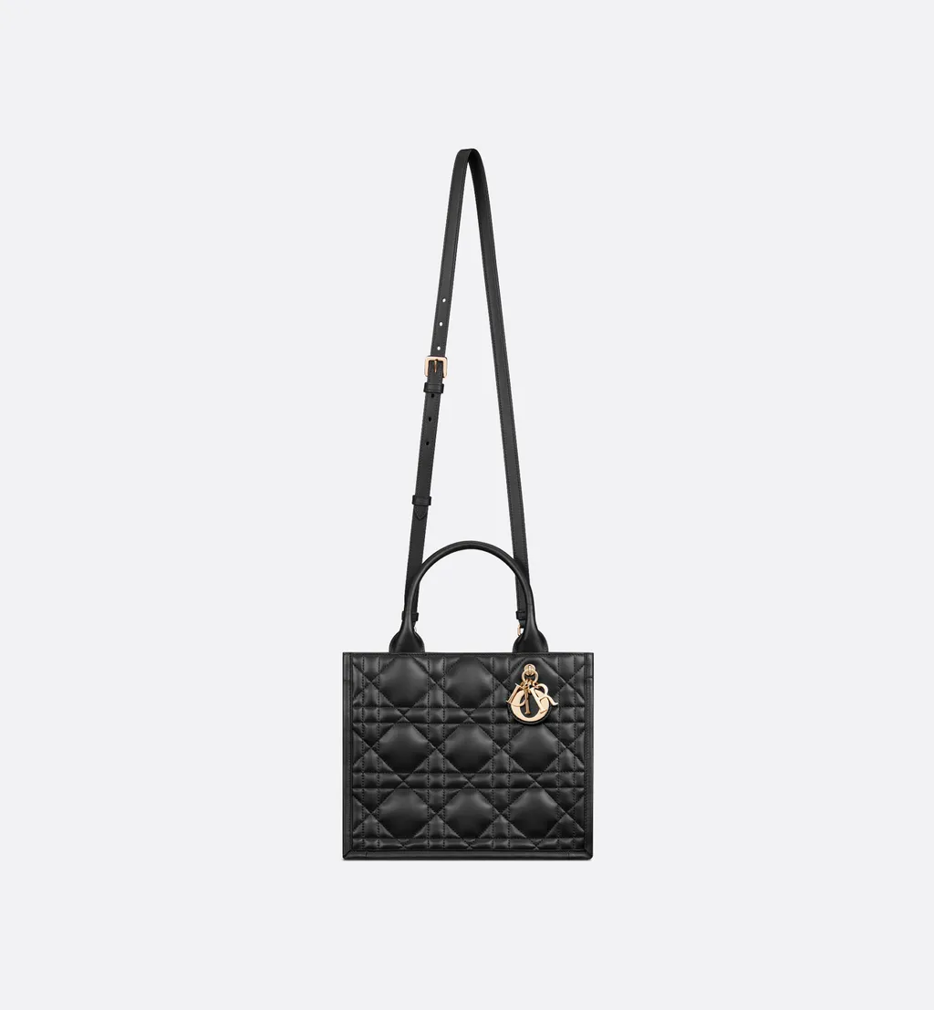 Small Dior Book Tote