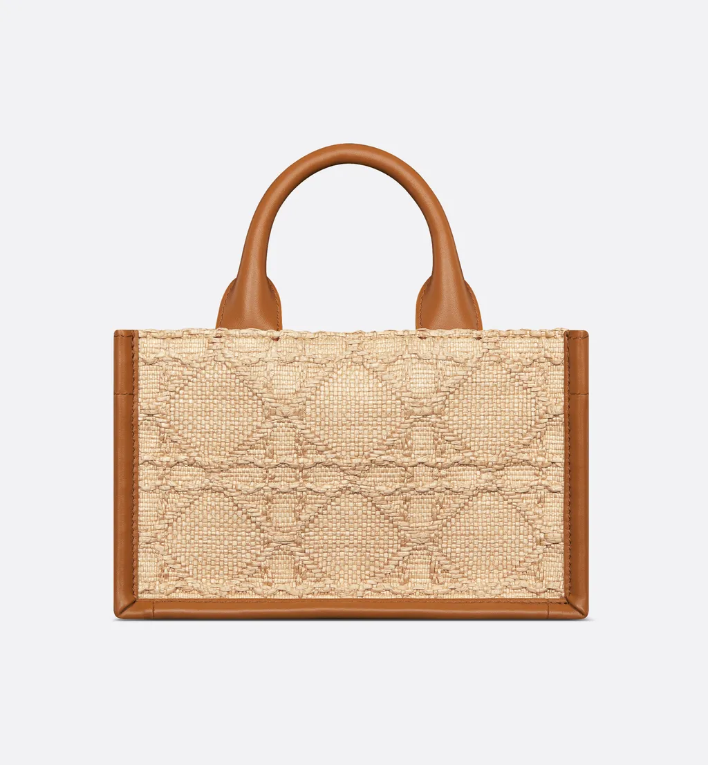 Mini Dior Book Tote