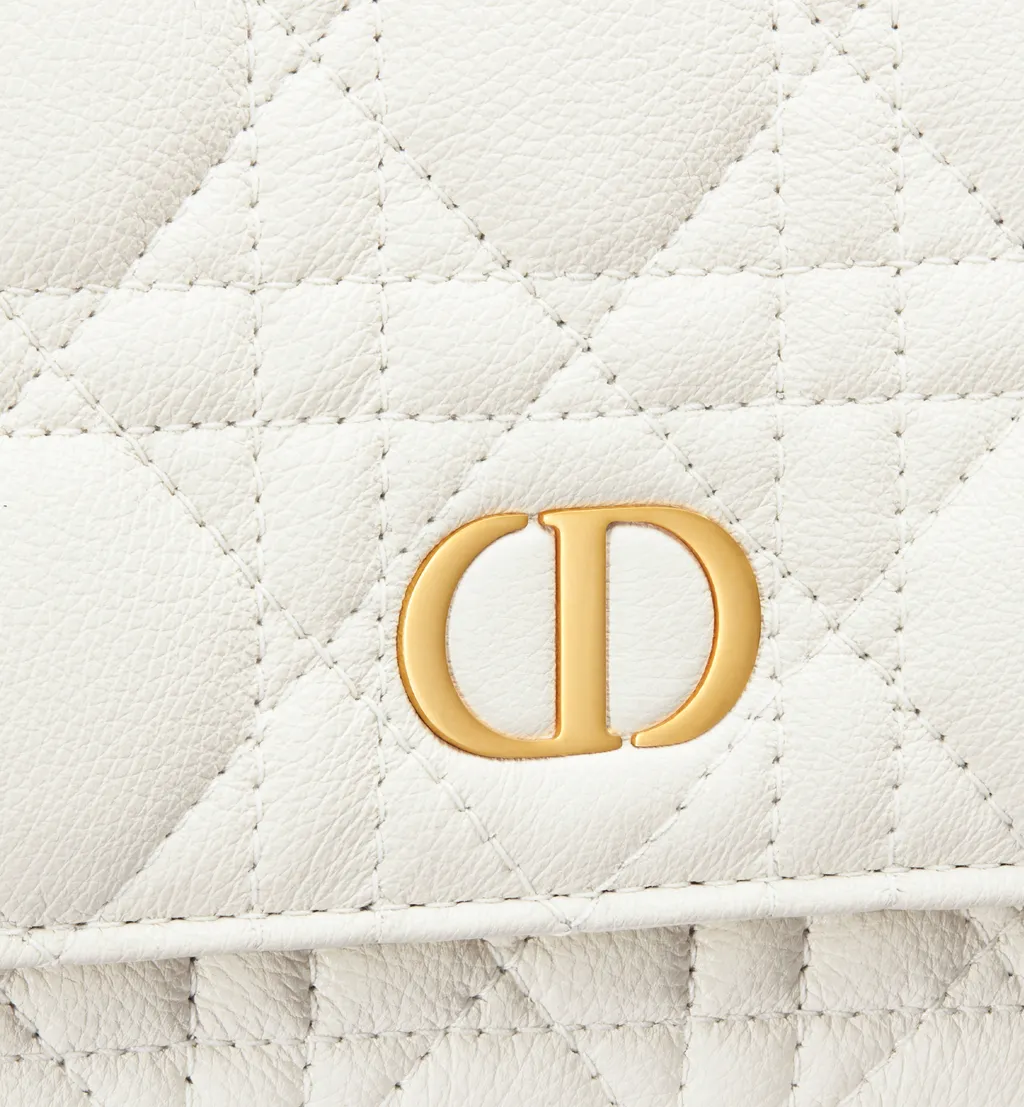 Dior Caro Pouch With Chain