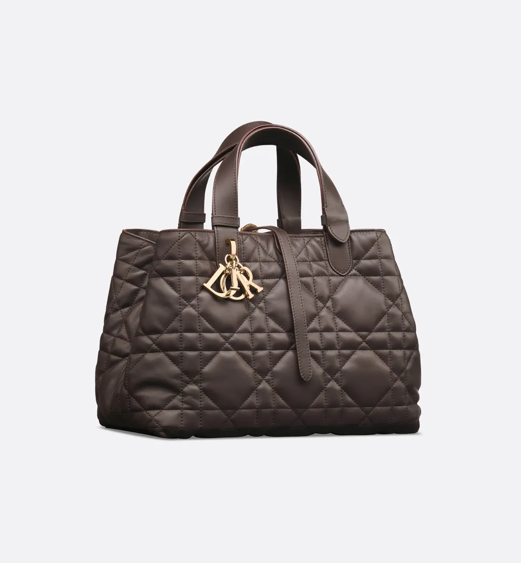 Medium Dior Toujours Bag