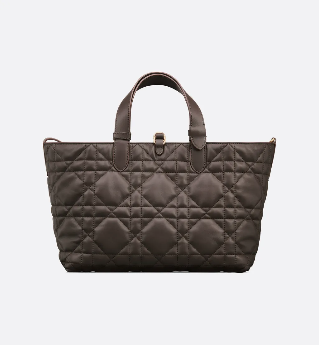 Medium Dior Toujours Bag