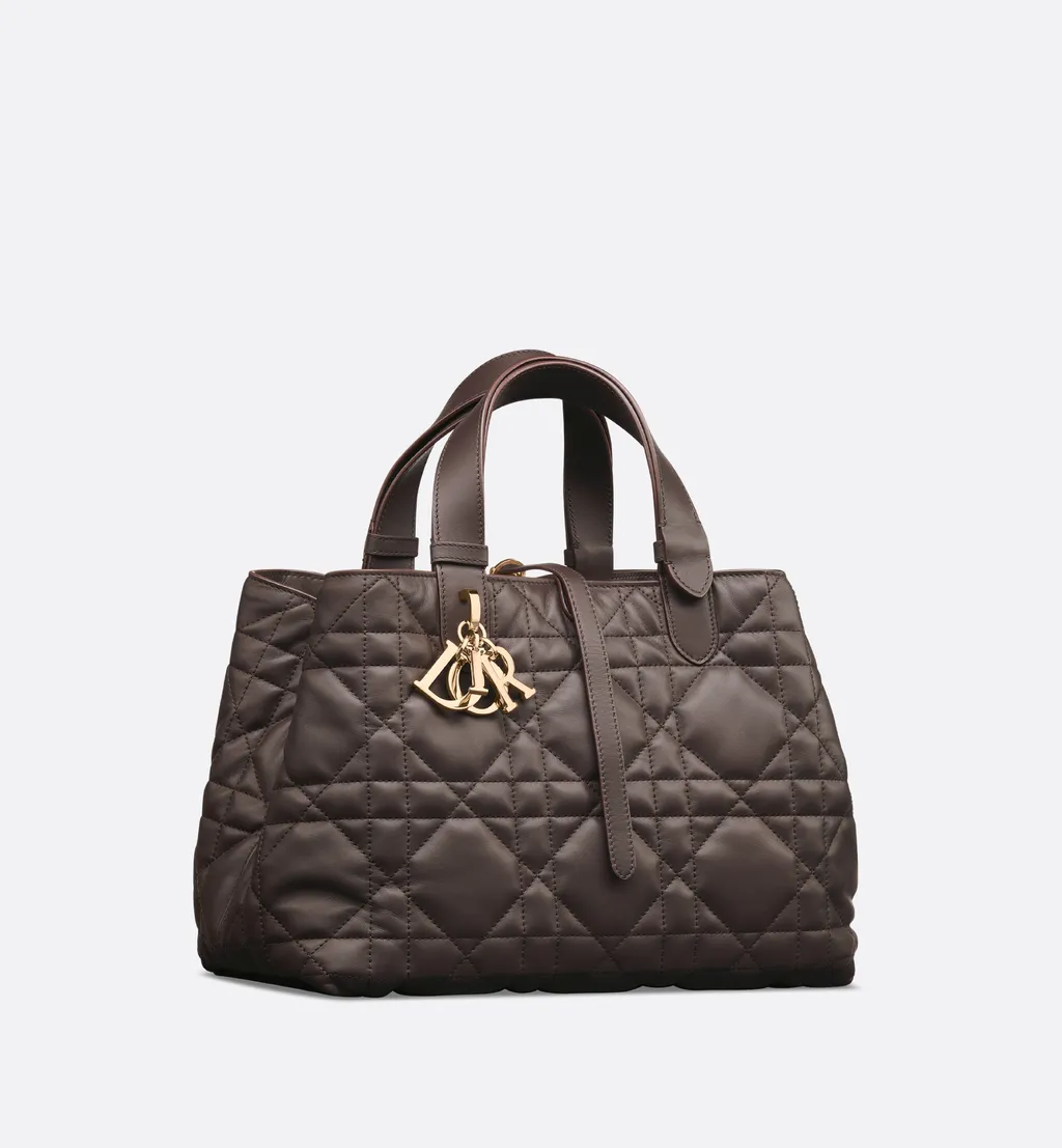 Medium Dior Toujours Bag
