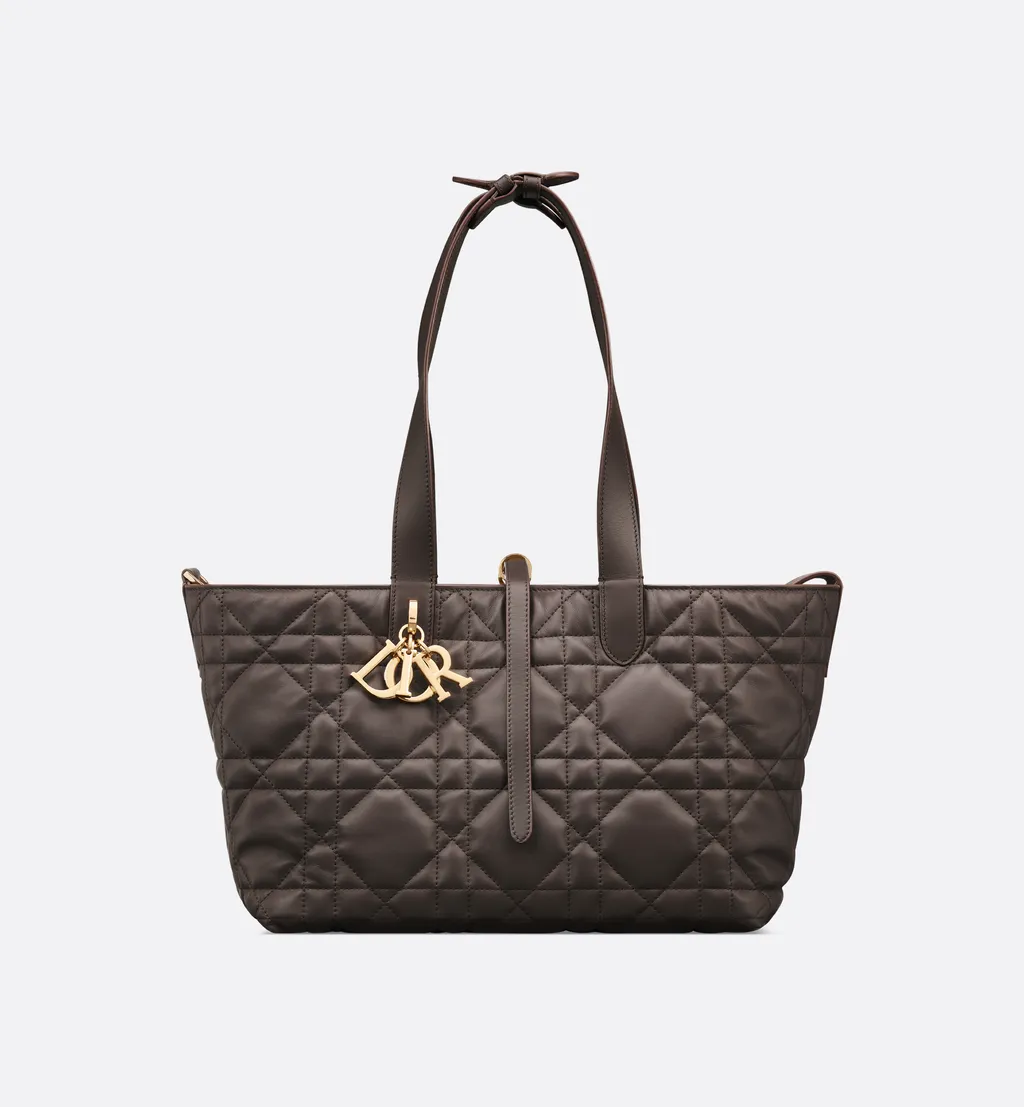 Medium Dior Toujours Bag