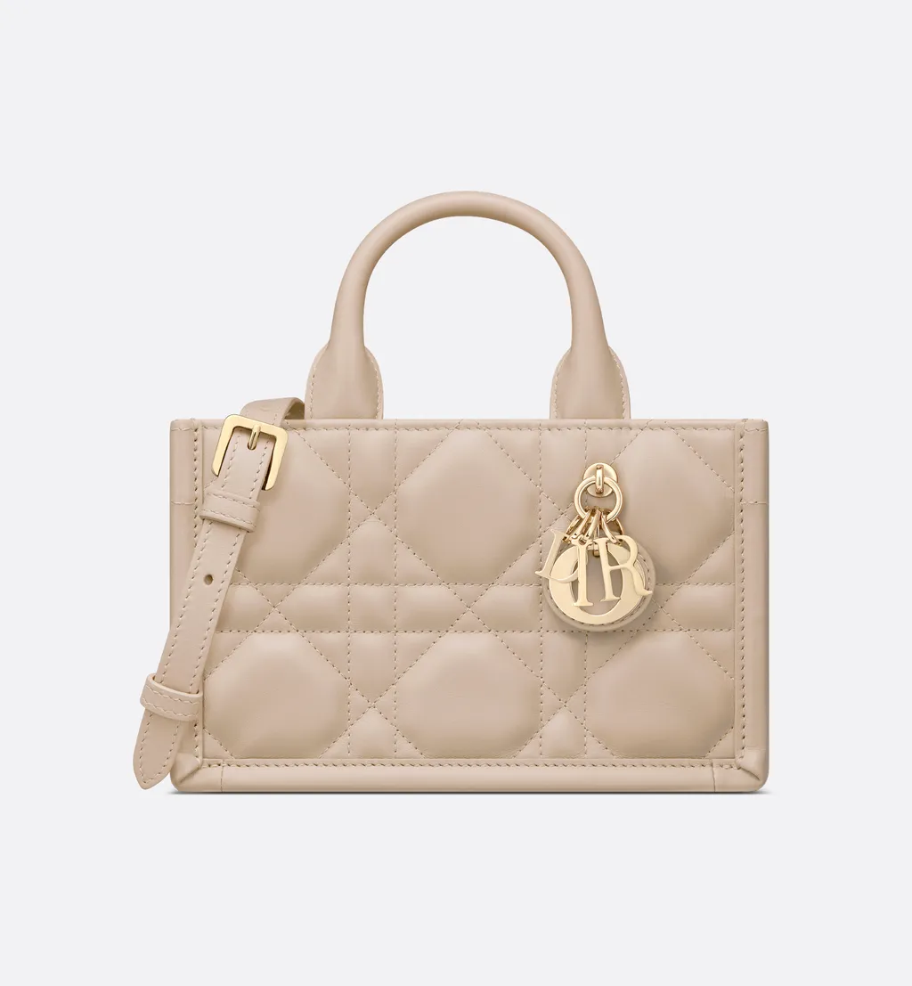 Mini Dior Book Tote