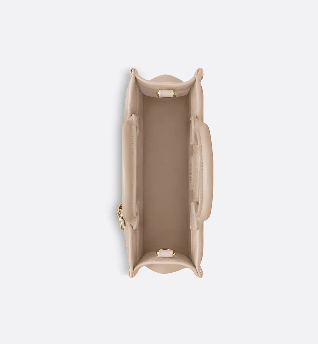 Mini Dior Book Tote
