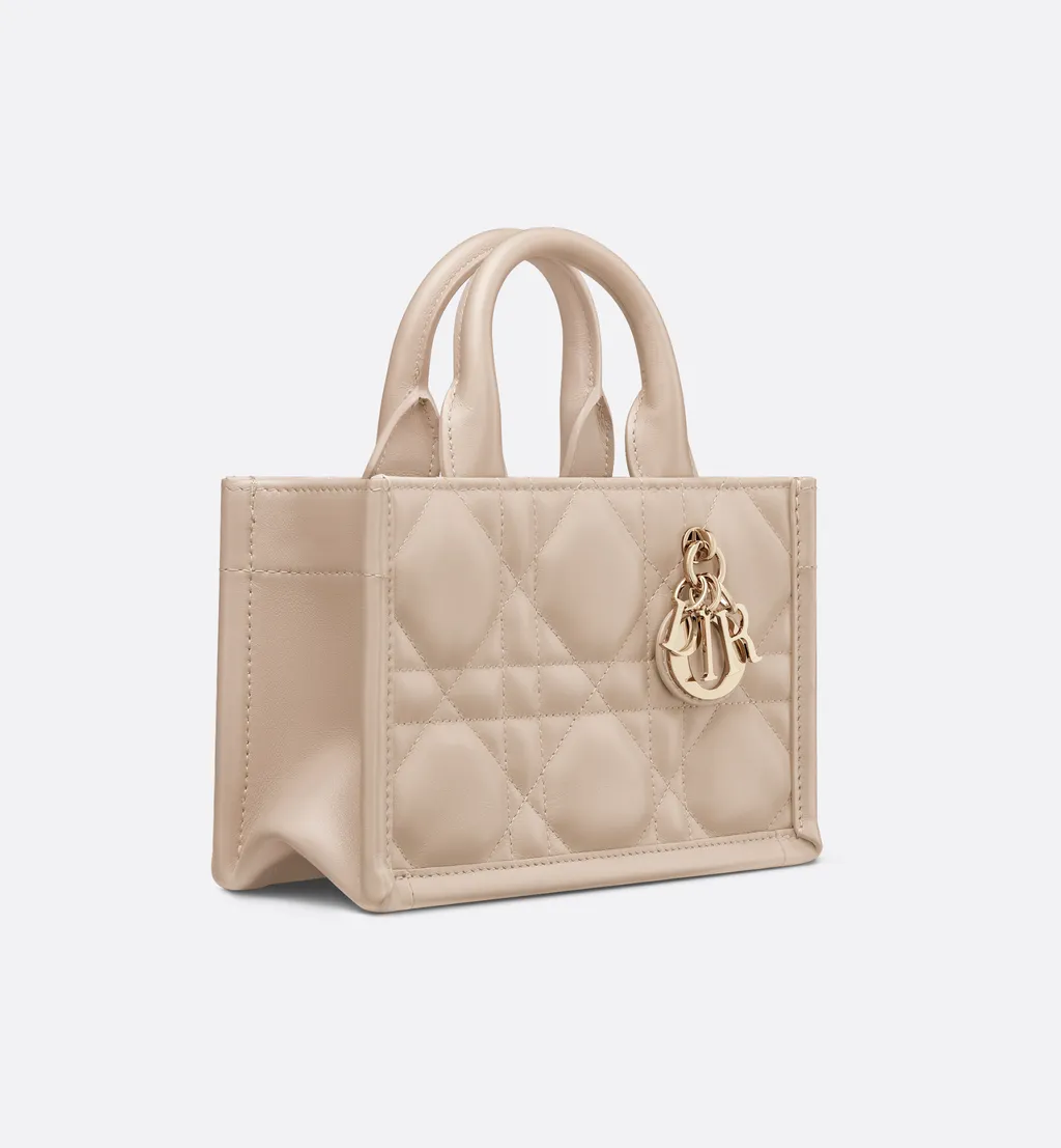 Mini Dior Book Tote