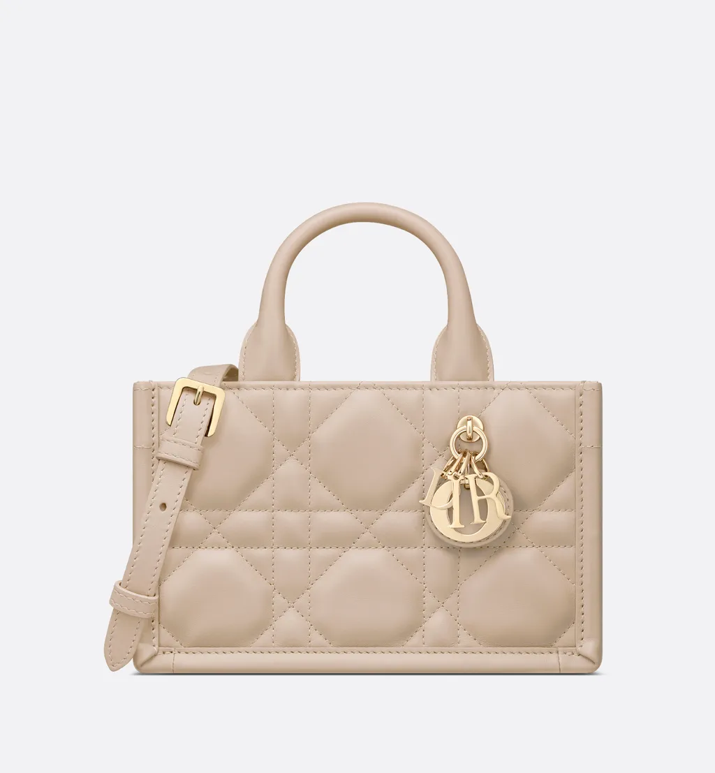 Mini Dior Book Tote