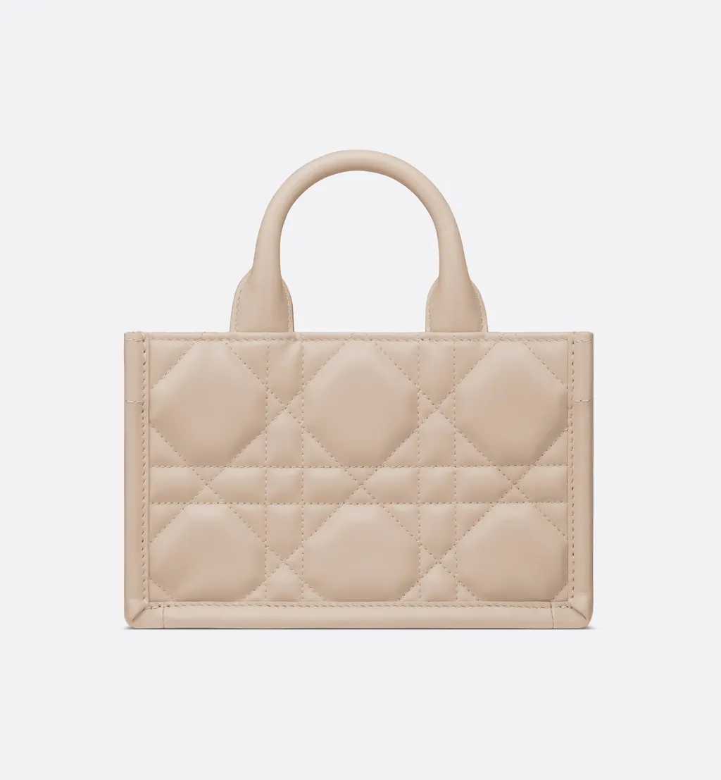 Mini Dior Book Tote