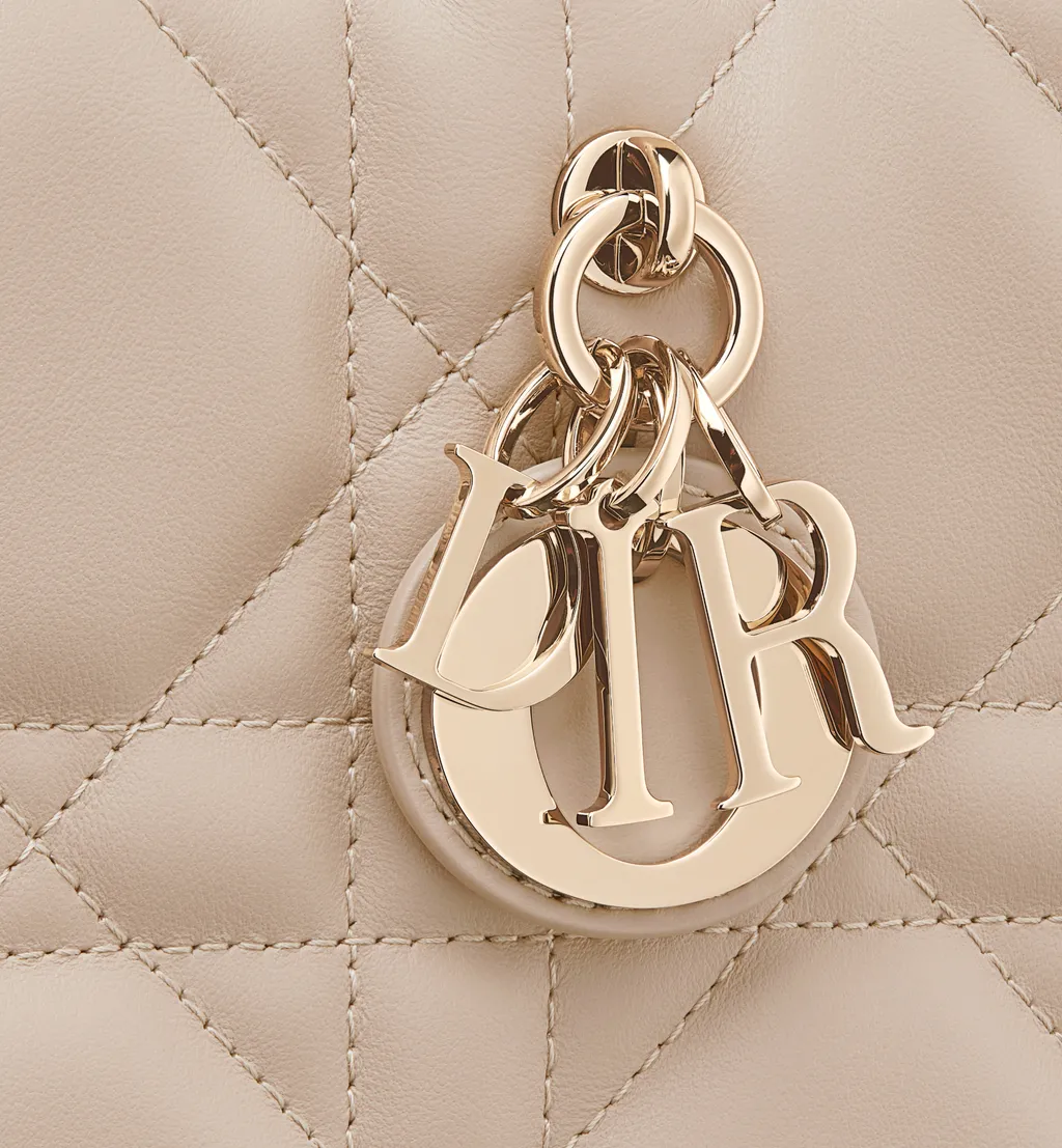 Mini Dior Book Tote