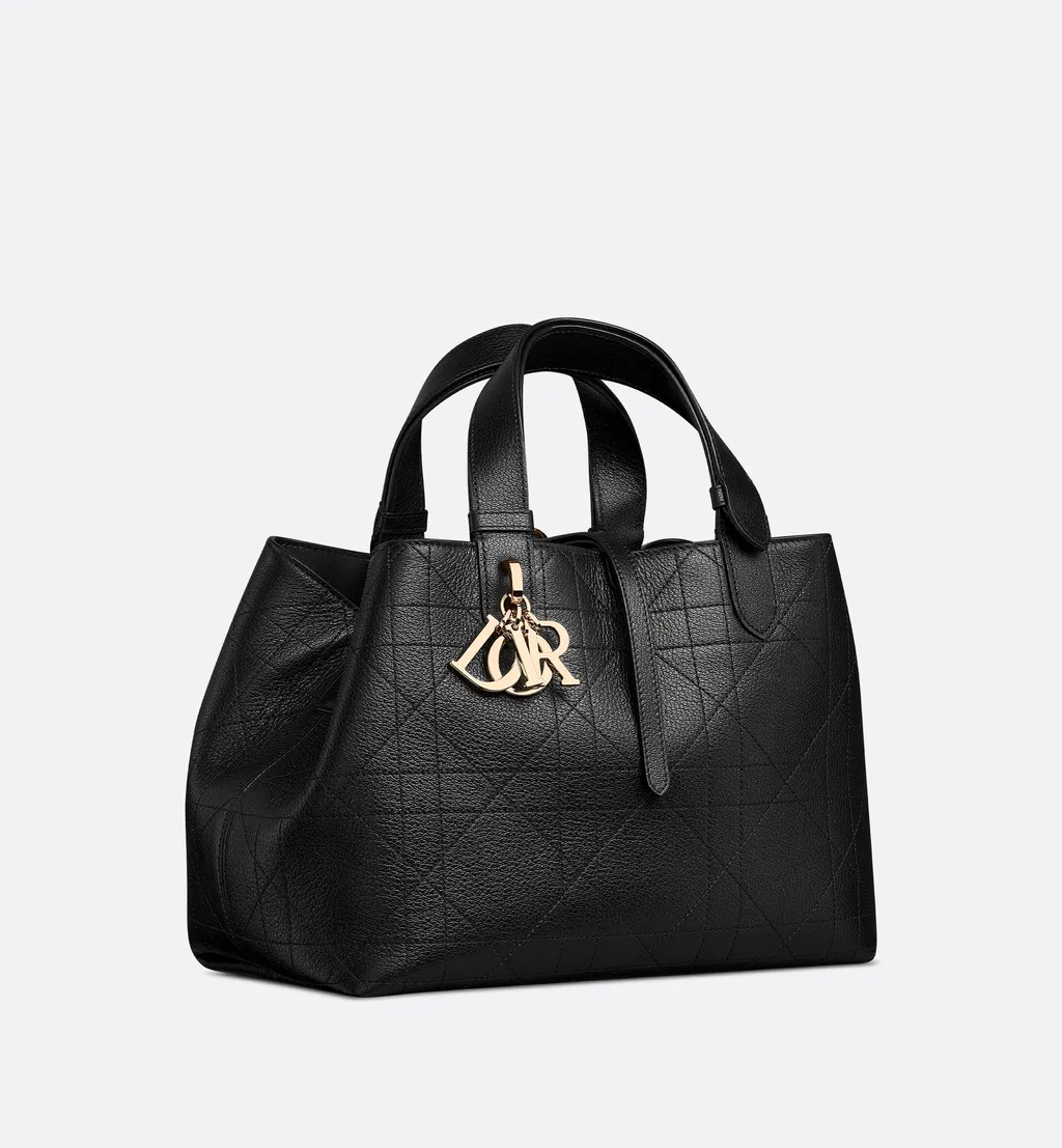Medium Dior Toujours Bag