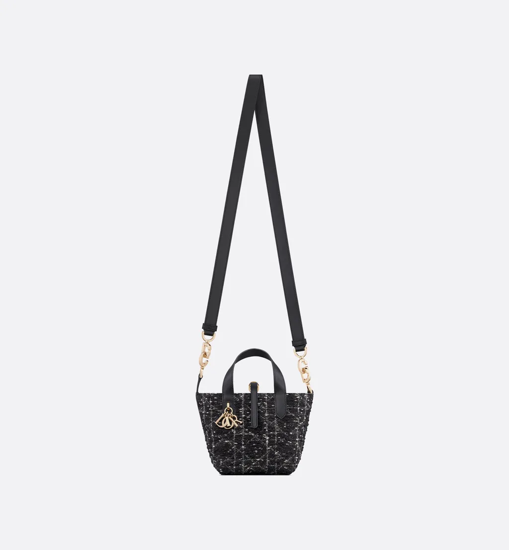Dior Toujours Vertical Nano Tote Bag