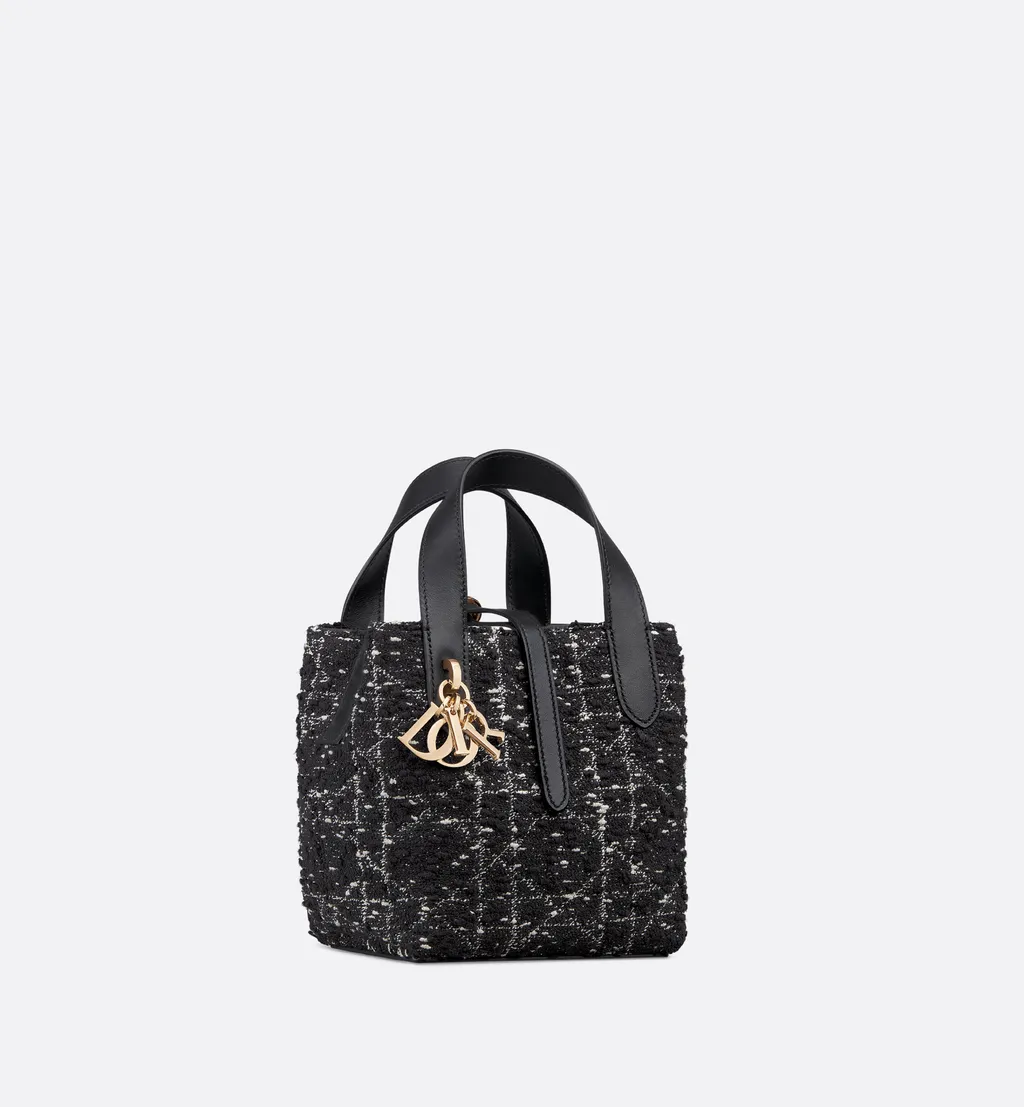 Dior Toujours Vertical Nano Tote Bag