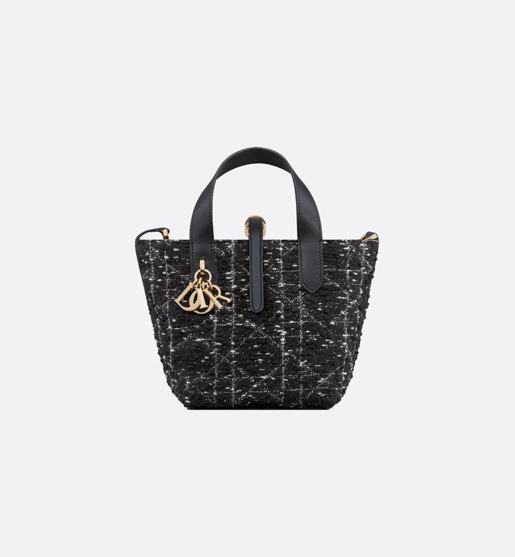 Dior Toujours Vertical Nano Tote Bag
