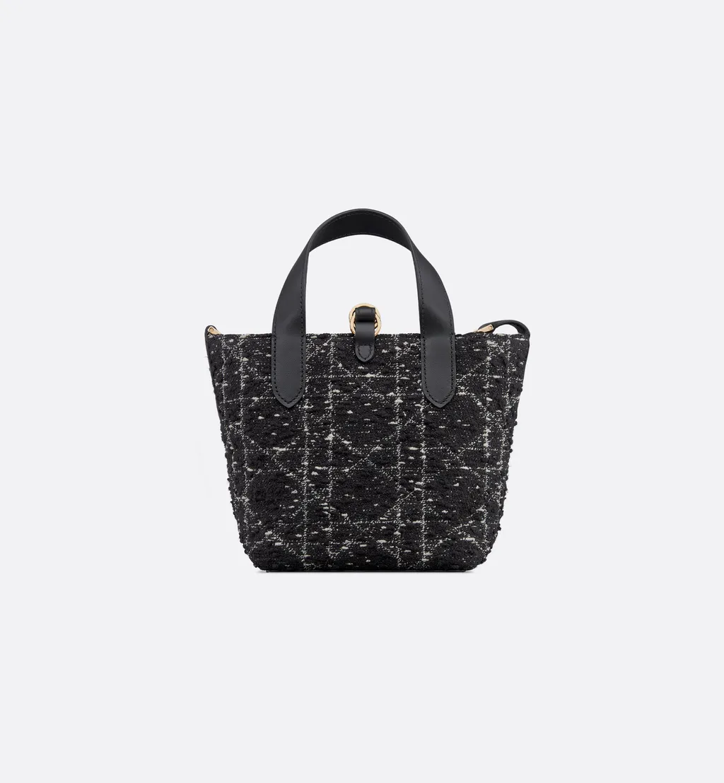 Dior Toujours Vertical Nano Tote Bag