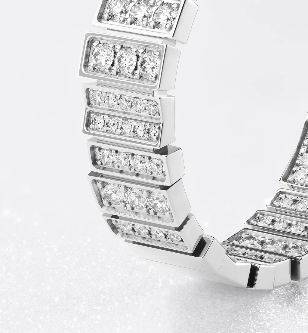 Gem Dior Earrings
